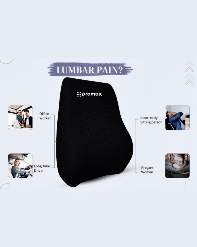 Lumbo Back Rest Cushion - Image 3