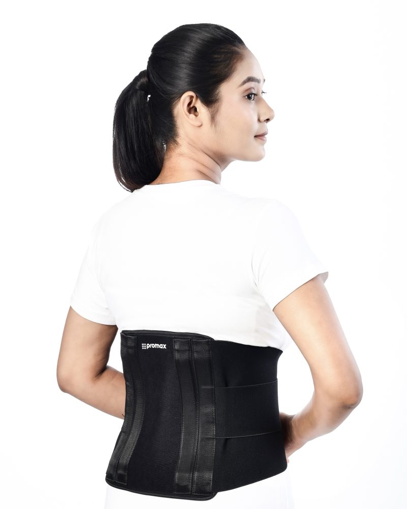 Contoured LS Belt